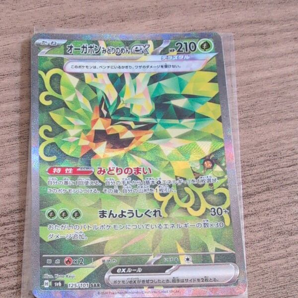 ポケモンカード オーガポンみどりのめんex SAR