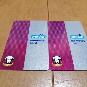 新品未使用 WAONカード ウエルシア