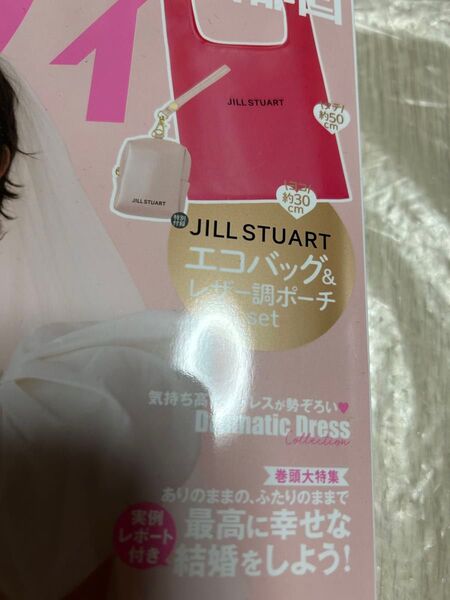 JILL STUART エコバッグ&ストラップ付きポーチ