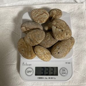 姫川薬石 小サイズ 10個セット 333g