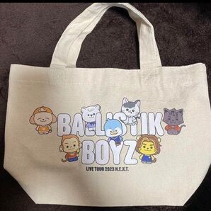 ☆BALLISTIK BOYZ BBZOO ランチバッグ 新品☆