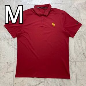 希少 ナイキ メンズ M ポロシャツ プリントロゴ DRY FIT エンジ