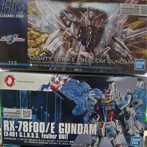 EXP ガンダムグラスフェザー+HGマイティーストライクフリーダムガンダム