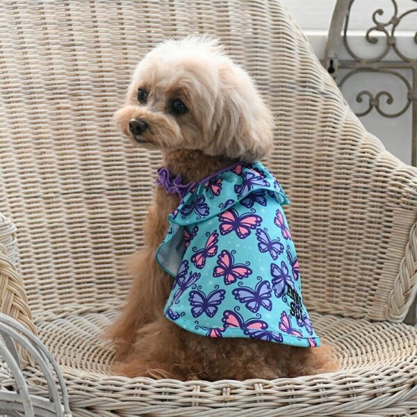 犬服 新品 ANNA SUI 水着 サイズ2L