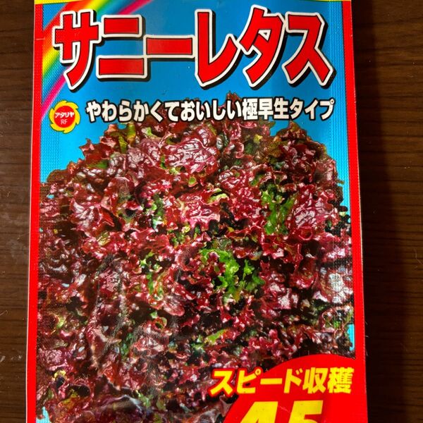 サニーレタス 種 のらぼう菜 種 おまけ付き