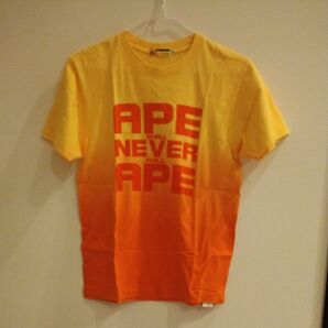 APE Tシャツ 半袖 M