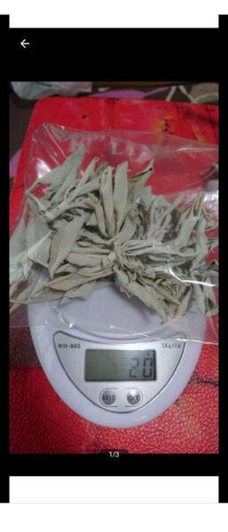 ホワイトセージ20g枝付きリーフ混み