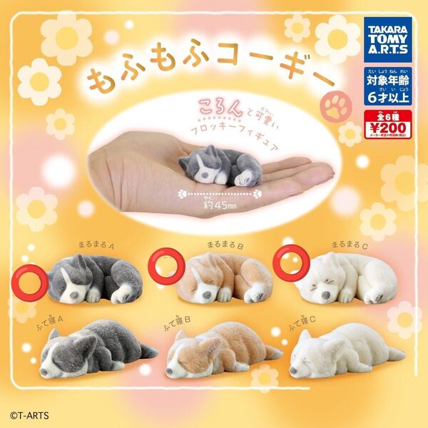 犬 コーギー ガチャ もふもふコーギー