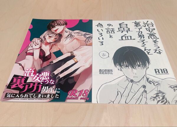 治安悪そうな裏アカ男子 2冊
