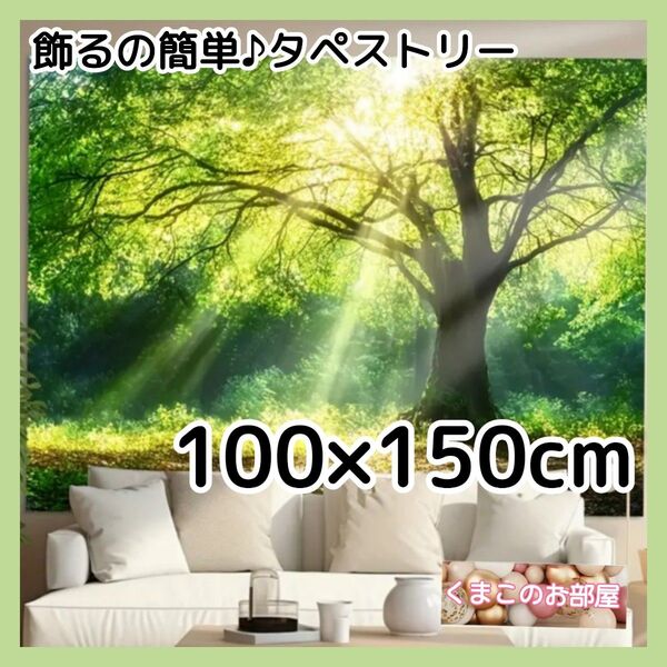 タペストリー 背景布 緑 森林 新緑 神秘的 インテリア 128f