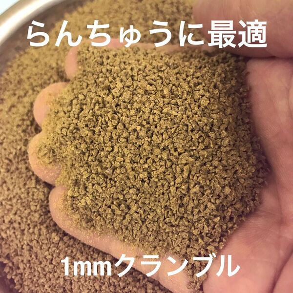らんちゅうに最適 1㎜ クランブル餌 700g入り 沈下性 金魚 錦鯉に最適な餌です