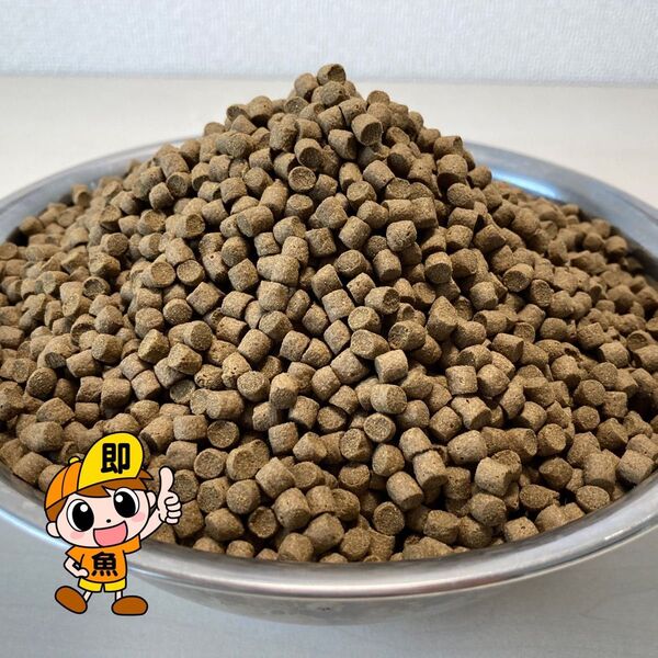 浮餌 『ひらめEPフロート5号』500g 5㎜ 錦鯉に最適な浮餌 高タンパク 高脂肪 亀にも有効な餌です