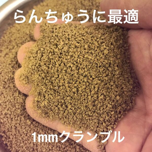 らんちゅうに最適 1㎜クランブル餌 1500g入り 沈下性 金魚 錦鯉にも有効な餌