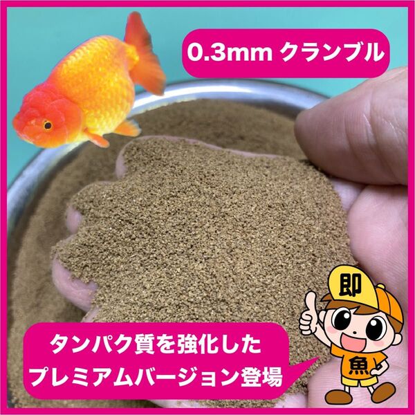 『プレミアム餌』0.3㎜クランブル餌 200g タンパク質強化バージョン メダカ らんちゅう(当歳魚)に最適な餌です