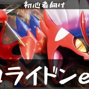 【初心者応援!一律1000円デッキ】コライドン 1