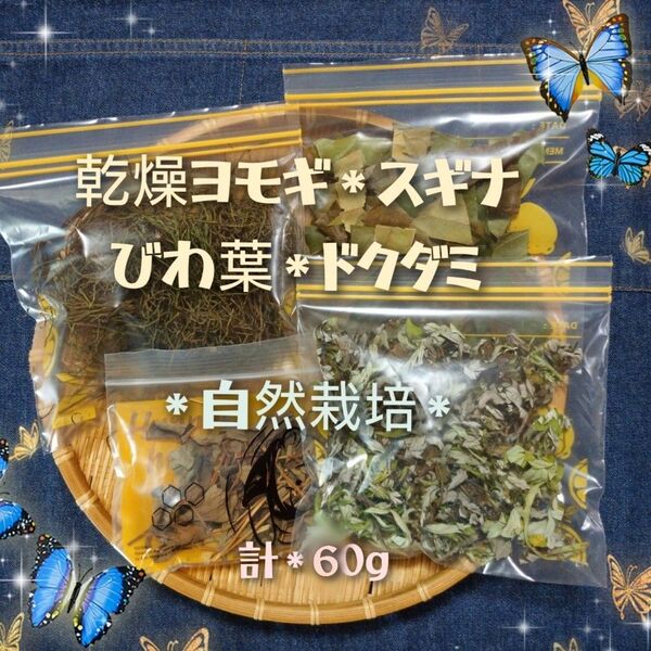 ヨモギ スギナ 枇杷葉 ドクダミで計60g 自然栽培