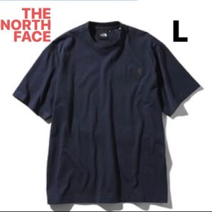 THE NORTH FACE ザ ノースフェイス Silhouette Tee tシャツ Lサイズ メンズ