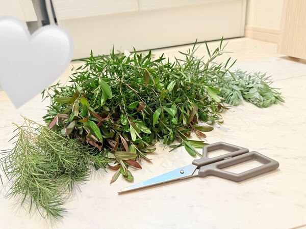 1名のみ メラレウカ カッパーグロー ブルーブッシュ ティーツリー ハンドメイド リース ドライフラワー 資材 花材
