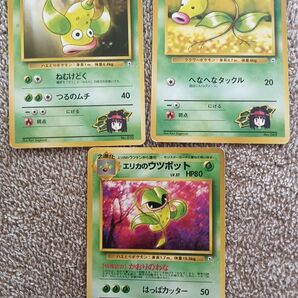 エリカのマダツボミ ウツドン ウツボット ポケモンカード 旧裏面 ポケカ