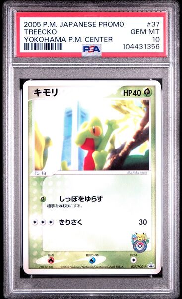 PSA10 ポケモンカードゲーム キモリ ポケモンセンター横浜プロモ