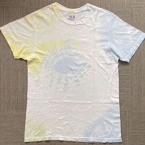 ※【希少】FRUIT OF THE LOOM タイダイ染め Tシャツ 無地