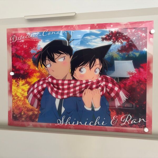 名探偵コナン ミニクリアポスター 新蘭 工藤新一