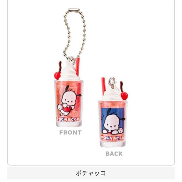 ポチャッコ サンリオキャラクターズ レトログラスミニチュアチャーム