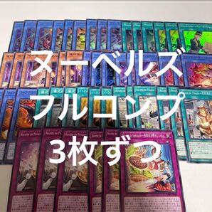 ヌーベルズ フルコンプ ワイルドサバイバーズ
