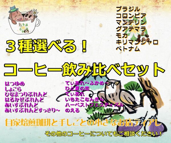 【300g】3種類選べる 飲み比べコーヒー豆セット 自家焙煎珈琲