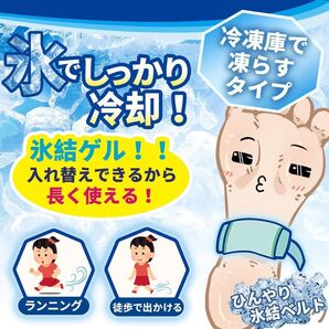 新品 PCM冷感インソール 男女兼用 繰り返し使用可能 サイズ調整可