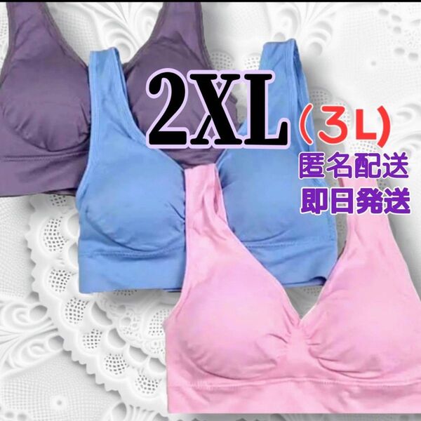 ジニエブラ スポブラ ナイトブラ 2XLサイズ ピンク、ブルー、パープル 3枚