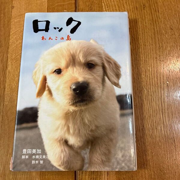 ロック わんこの島 豊田美加/ノベライズ 水橋文美江/脚本 鈴木智/脚本
