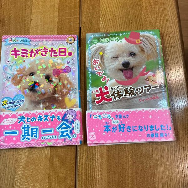 一歩一歩おいでよ!犬体験ツアー ちょっとの勇気。 キミがきた日