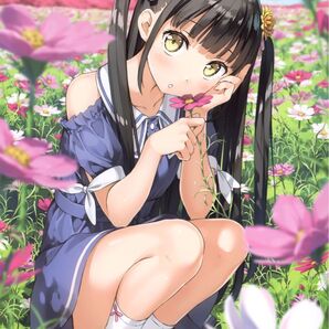 ◇美品/送料無料◇ カントク 5年目の放課後 B2タペストリー コスモスの気持ち なぎさちゃん