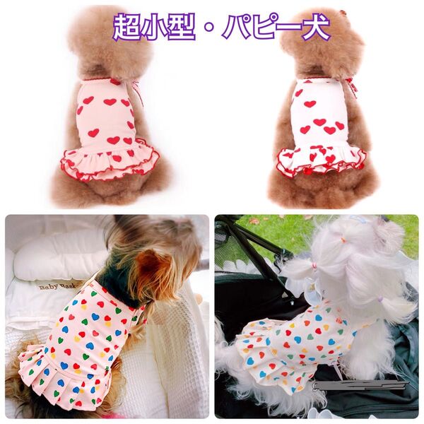 犬服 猫服 ペット服 超 小型パピー犬 春夏用 デザインワンピース:3XS.XXS