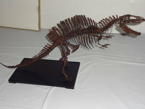 アクロカントサウルス　1/20 骨格模型　T・REX　 T・レックス 全長約50ｃｍ　ジエラシックパーク　　