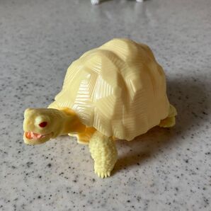 インドホシガメ(アルビノ黄色種)いきもの大図鑑かめ02ガシャポンガチャガチャカプセルトイ