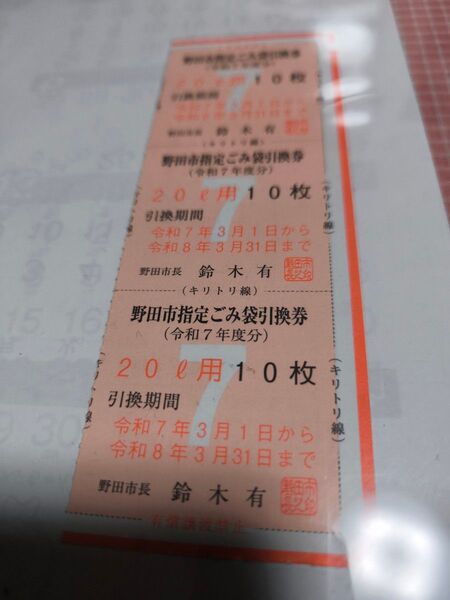 【のだし】野田市 指定 ゴミ袋 引換券 20L×30枚分 交換期限令和8年3月31 可燃ゴミ 不燃ゴミ 交換可能