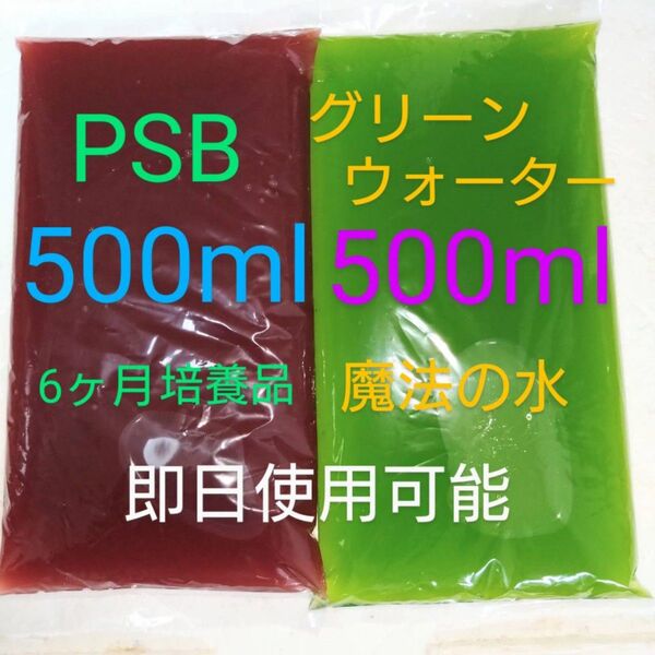 濃縮 PSB 500ml グリーンウォーター 500mlセット メダカ 金魚 錦鯉 針子 飼育水 エサ 即使用可能 説明文付