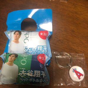 伊藤園 大谷翔平 ペットボトルカバー2個セット & おまけキーホルダー