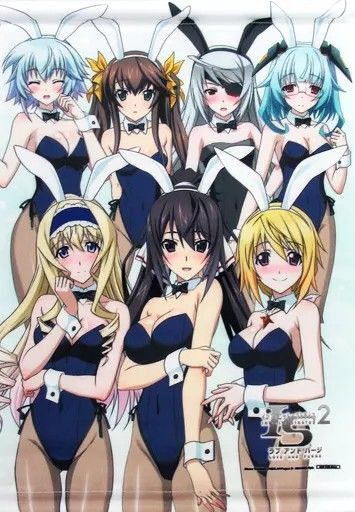 集合 B4タペストリー PS3/PS Vita IS<インフィニット・ストラトス>2 ラブ アンド パージ 予約者対象配布