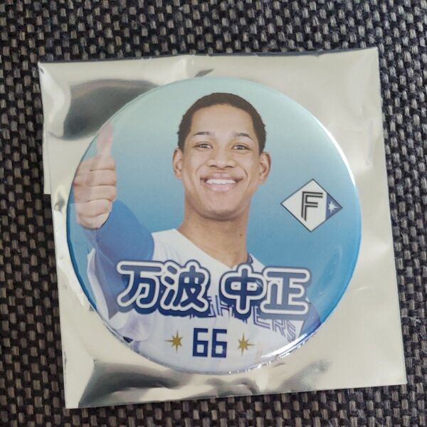 万波中正 缶バッジ #ファイターズいいね! 北海道日本ハムファイターズ