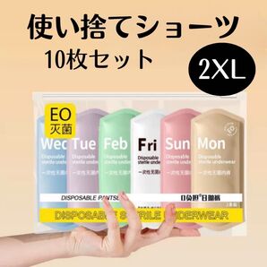 使い捨てショーツ 防災 グッズ 衛生 災害 対策 入院 宿泊 旅行 綿 便利 備え 安心 レディース カラフル