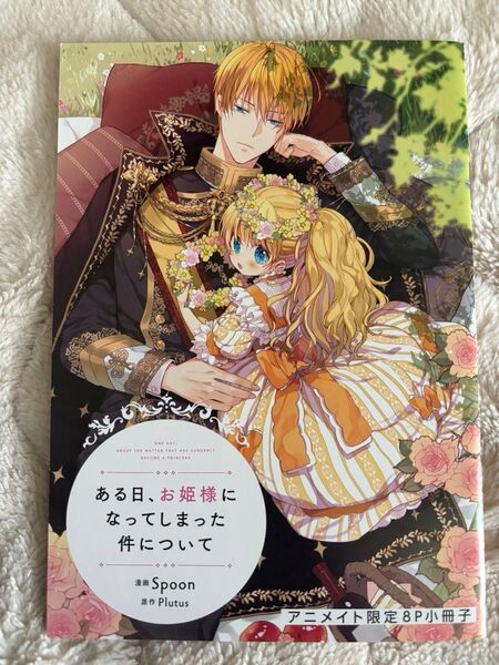 ある日、お姫様になってしまった件について 6巻のアニメイト特典 8pリーフレット