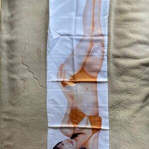 ほしのあき抱き枕カバー