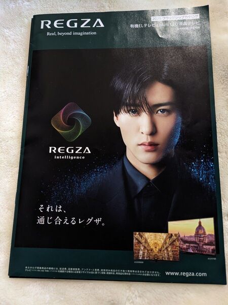 REGZAカタログ