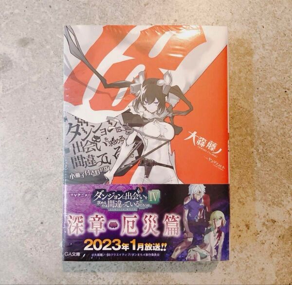 ダンジョンに出会いを求めるのは間違っているだろうか18 小冊子付き特装版