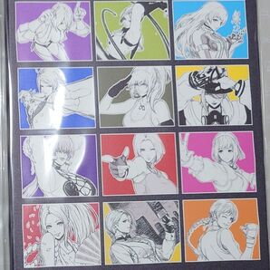 【希少】KOF XⅤ ヒロインズ アートキャンバス