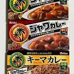 未開封 ハウス ジャワカレー 中辛 辛口 キーマカレー 合計3箱 アソート カレールー カレーはジャワだね