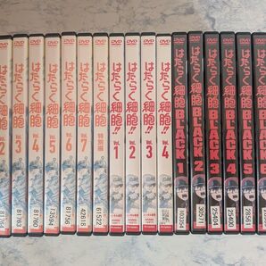 DVD はたらく細胞 1期、2期、スペシャル、スピンオフ 計19巻 新品ケース付